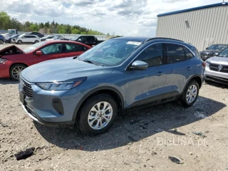 FORD ESCAPE ACT ACTIVE