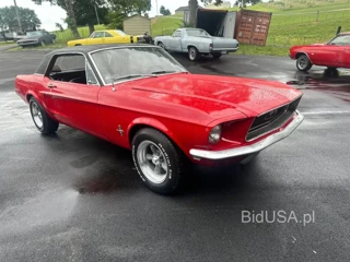 FORD MUSTANG