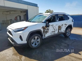 TOYOTA RAV4 XLE XLE