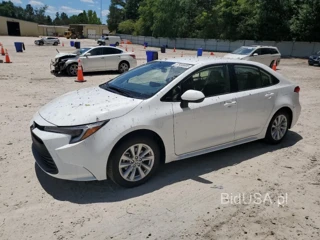 TOYOTA COROLLA LE LE