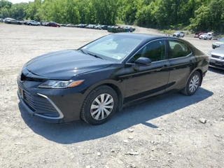 TOYOTA CAMRY LE LE