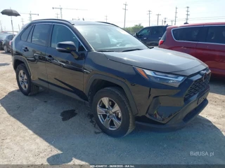 TOYOTA TOYOTA RAV4 XLE