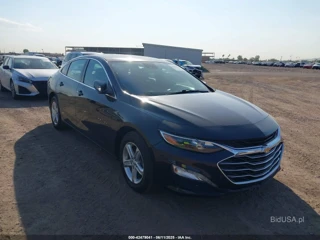 CHEVROLET CHEVROLET MALIBU FWD 1LT