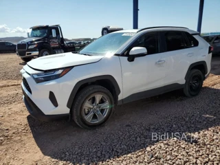 TOYOTA RAV4 XLE XLE