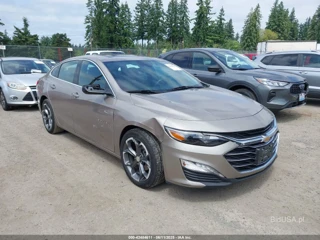 CHEVROLET CHEVROLET MALIBU FWD 1LT