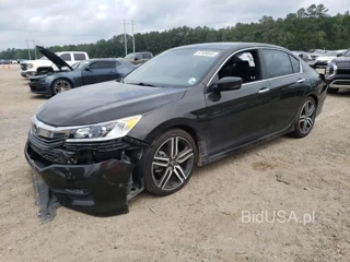HONDA ACCORD SPORT SPECIAL EDITION