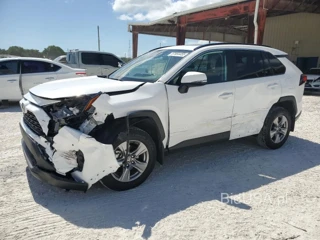 TOYOTA RAV4 XLE XLE