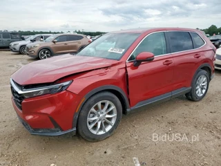 HONDA CR-V EX EX