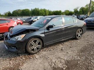 HONDA ACCORD SPO SPORT SPECIAL EDITION