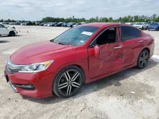 HONDA ACCORD SPO SPORT