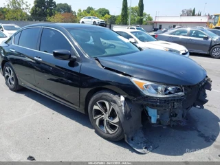 HONDA HONDA ACCORD LX
