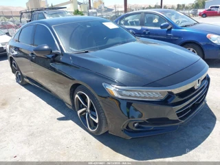 HONDA HONDA ACCORD SPORT