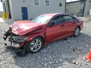 HONDA ACCORD LX LX