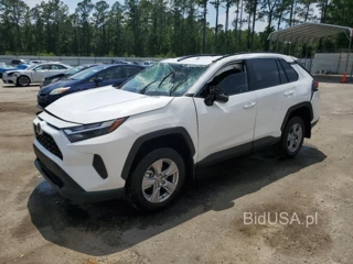 TOYOTA RAV4 XLE XLE
