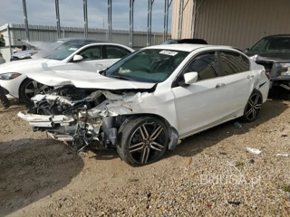 HONDA ACCORD SPO SPORT