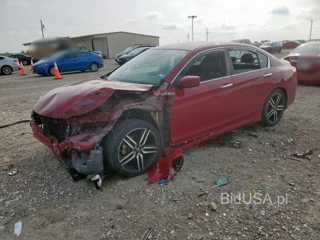 HONDA ACCORD SPO SPORT SPECIAL EDITION