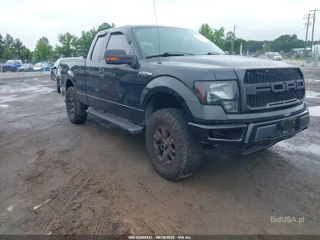 FORD FORD F-150 XLT