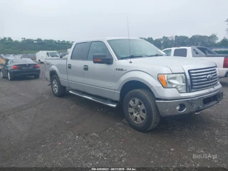 FORD FORD F-150 XLT