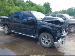 FORD FORD F-150 XLT