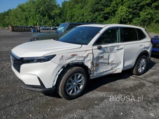 HONDA CR-V EX EX