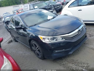HONDA HONDA ACCORD SPORT SE