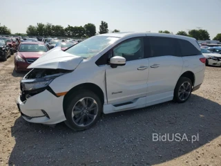 HONDA ODYSSEY EL ELITE