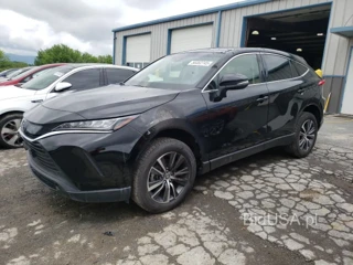 TOYOTA VENZA LE LE