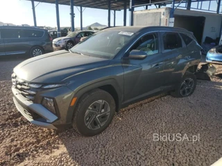 HYUNDAI TUCSON BLU BLUE