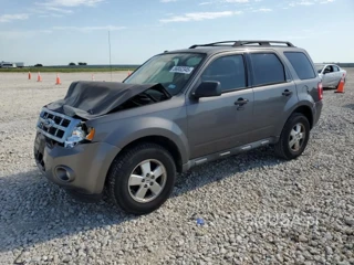 FORD ESCAPE XLT XLT
