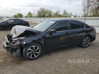 HONDA ACCORD LX LX