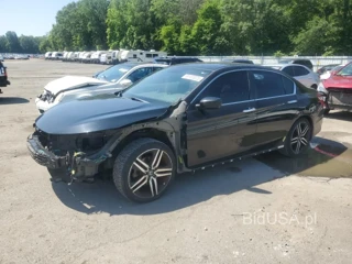 HONDA ACCORD SPO SPORT