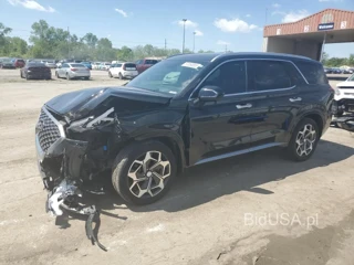 HYUNDAI PALISADE C CALLIGRAPHY