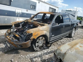 FORD F150 SUPER SUPERCREW