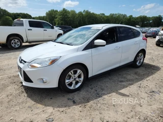 FORD FOCUS SE SE