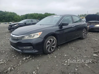 HONDA ACCORD EXL EXL