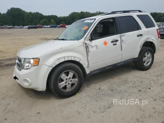 FORD ESCAPE XLT XLT