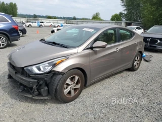 HYUNDAI ELANTRA SE SE