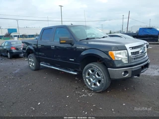 FORD FORD F-150 XLT