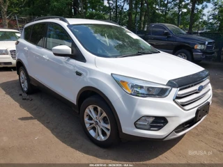 FORD FORD ESCAPE SE