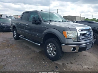 FORD FORD F-150 XLT