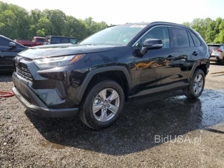 TOYOTA RAV4 XLE XLE