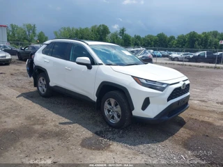 TOYOTA TOYOTA RAV4 XLE