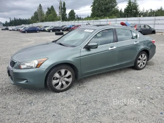 HONDA ACCORD EXL EXL