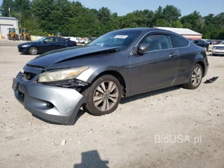 HONDA ACCORD LX- LX-S