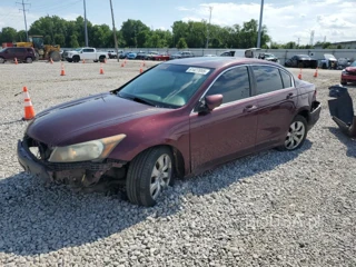 HONDA ACCORD EXL