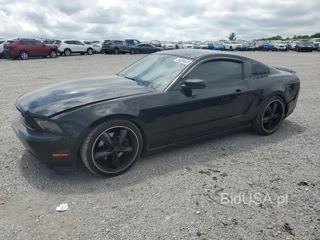 FORD MUSTANG GT GT