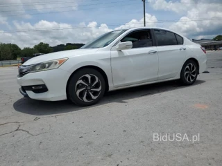 HONDA ACCORD EXL EXL