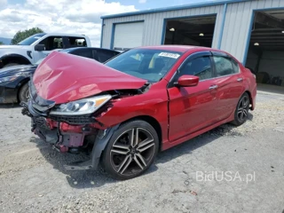 HONDA ACCORD SPO SPORT SPECIAL EDITION