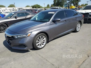 HONDA ACCORD LX LX
