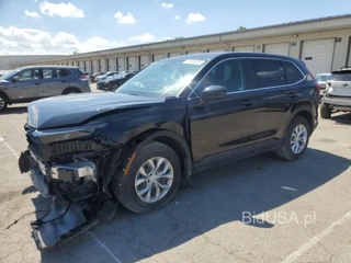 HONDA CRV LX LX